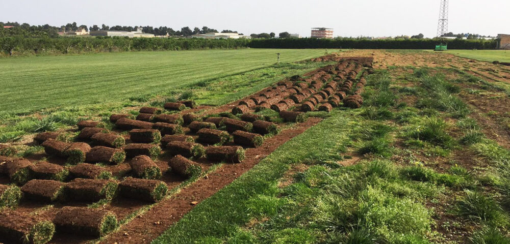 Produzione tappeto naturale